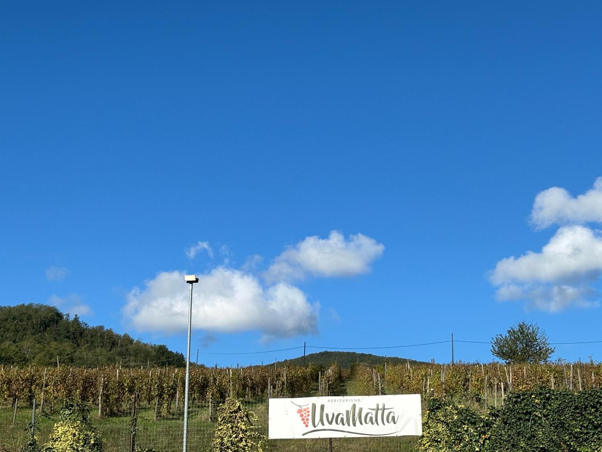Villa Uvamatta Carmiano  Exterior foto